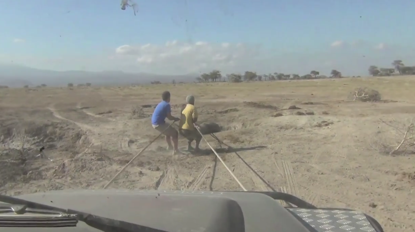 Kenya, VideoExtra, Elefant